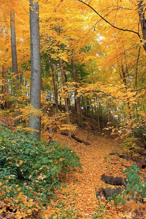 Robert Frost Mountain Cabins Middlebury Exteriér fotografie