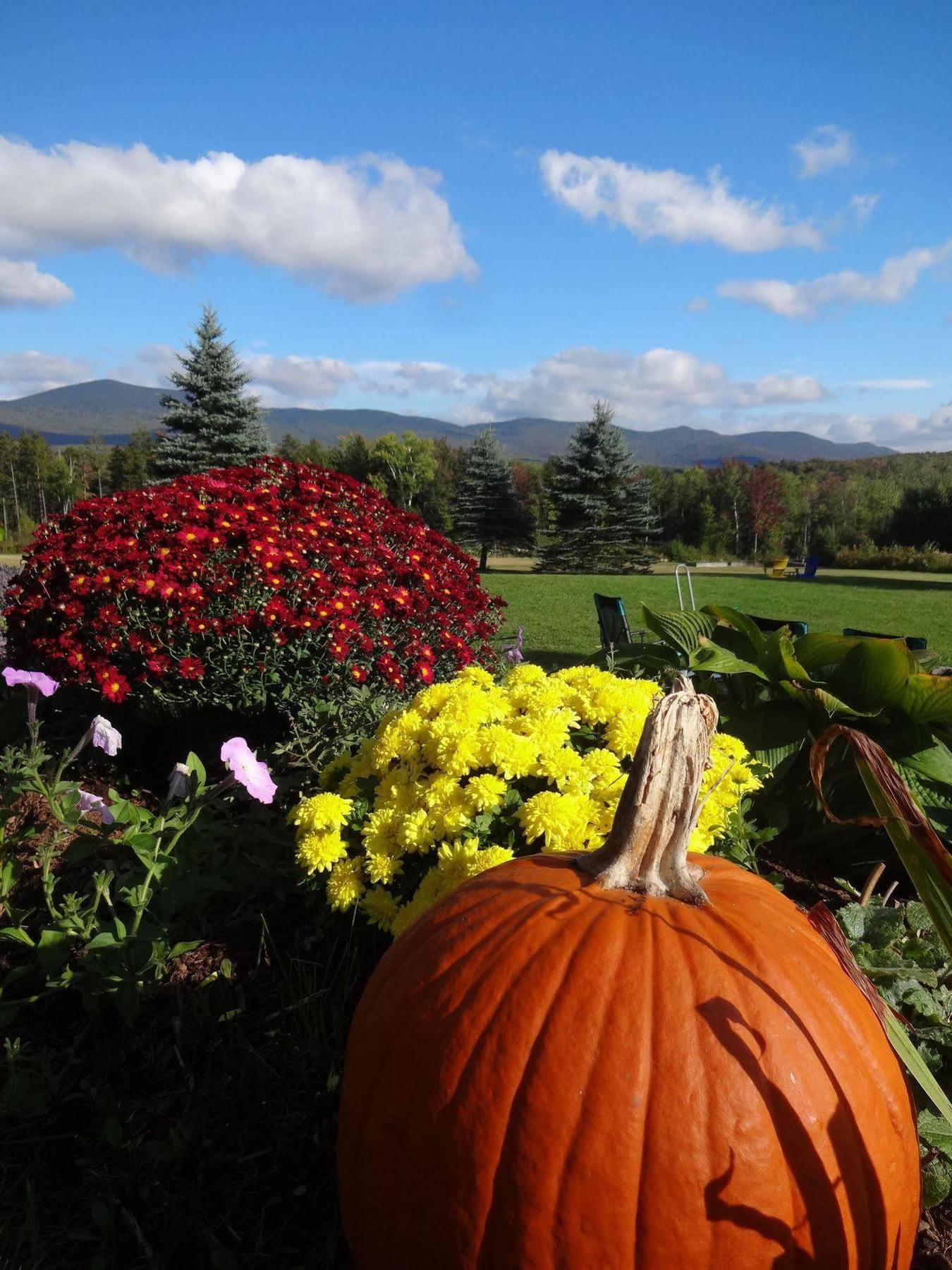 Robert Frost Mountain Cabins Middlebury Exteriér fotografie
