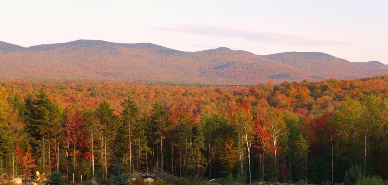 Robert Frost Mountain Cabins Middlebury Exteriér fotografie